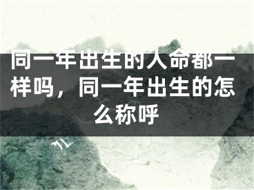 同一年出生的人命都一样吗,同一年出生的怎么称呼