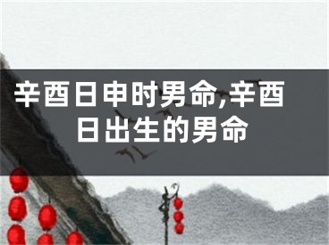 辛酉日申时男命,辛酉日出生的男命