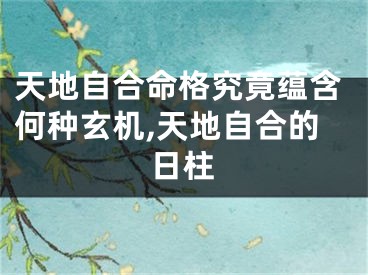 天地自合命格究竟蕴含何种玄机,天地自合的日柱