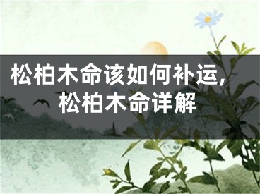 松柏木命该如何补运,松柏木命详解