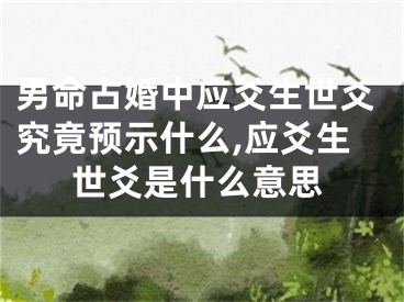 男命占婚中应爻生世爻究竟预示什么,应爻生世爻是什么意思