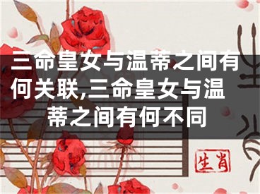 三命皇女与温蒂之间有何关联,三命皇女与温蒂之间有何不同