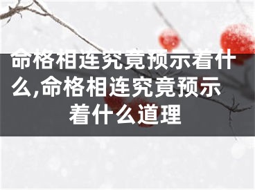 命格相连究竟预示着什么,命格相连究竟预示着什么道理