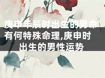 庚申年辰时出生的男命有何特殊命理,庚申时出生的男性运势