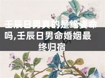 壬辰日男真的是绝妻命吗,壬辰日男命婚姻最终归宿