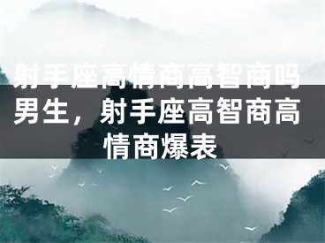 射手座高情商高智商吗男生，射手座高智商高情商爆表