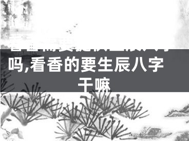 看香需要提供生辰八字吗,看香的要生辰八字干嘛