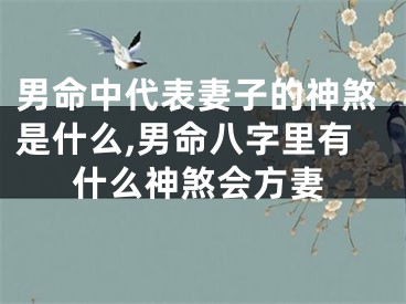 男命中代表妻子的神煞是什么,男命八字里有什么神煞会方妻