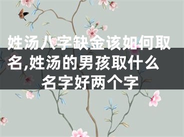 姓汤八字缺金该如何取名,姓汤的男孩取什么名字好两个字