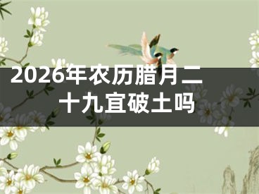 2026年农历腊月二十九宜破土吗
