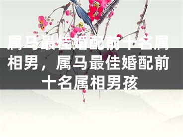 属马最佳婚配前十名属相男，属马最佳婚配前十名属相男孩