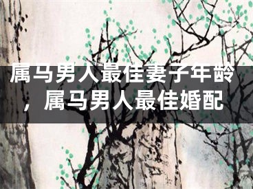 属马男人最佳妻子年龄，属马男人最佳婚配
