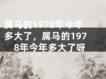 属马的1978年今年多大了,属马的1978年今年多大了呀