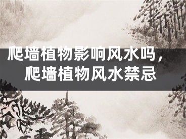爬墙植物影响风水吗,爬墙植物风水禁忌
