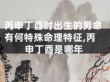 丙申丁酉时出生的男命有何特殊命理特征,丙申丁酉是哪年