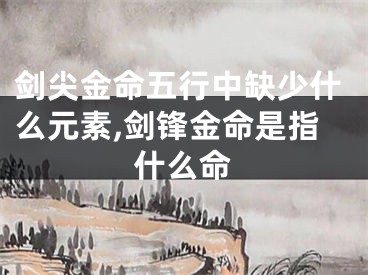 剑尖金命五行中缺少什么元素,剑锋金命是指什么命