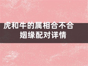 虎和牛的属相合不合 姻缘配对详情