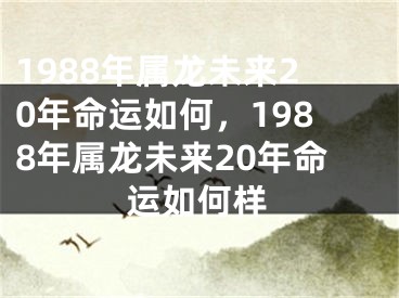 1988年属龙未来20年命运如何，1988年属龙未来20年命运如何样