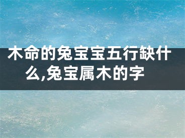 木命的兔宝宝五行缺什么,兔宝属木的字