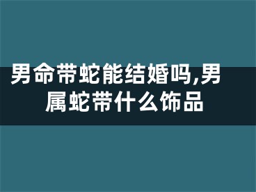 男命带蛇能结婚吗,男属蛇带什么饰品