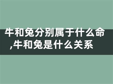 牛和兔分别属于什么命,牛和兔是什么关系