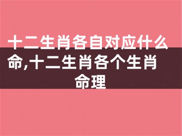 十二生肖各自对应什么命,十二生肖各个生肖命理