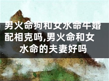 男火命狗和女水命牛婚配相克吗,男火命和女水命的夫妻好吗