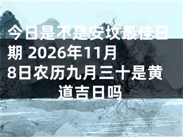 今日是不是安坟最佳日期 2026年11月8日农历九月三十是黄道吉日吗