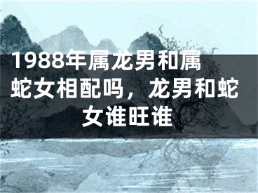 1988年属龙男和属蛇女相配吗，龙男和蛇女谁旺谁