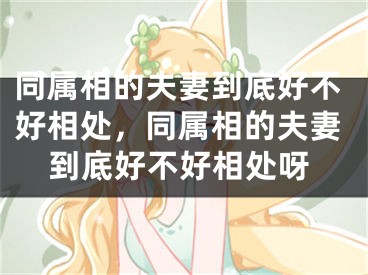 同属相的夫妻到底好不好相处，同属相的夫妻到底好不好相处呀