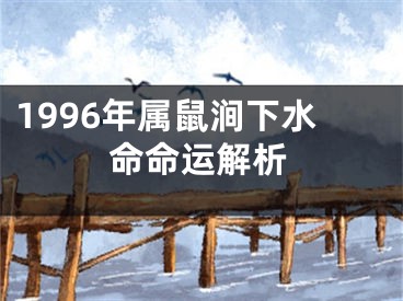 1996年属鼠涧下水命命运解析
