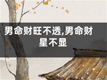 男命财旺不透,男命财星不显