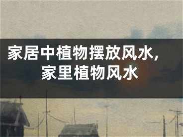 家居中植物摆放风水,家里植物风水