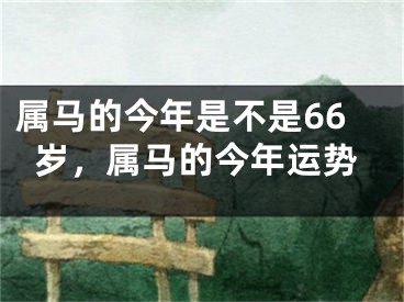属马的今年是不是66岁，属马的今年运势