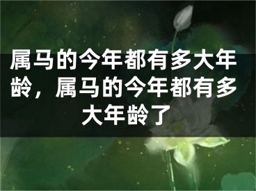 属马的今年都有多大年龄，属马的今年都有多大年龄了