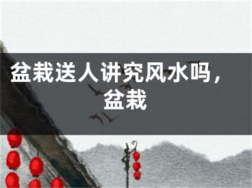盆栽送人讲究风水吗,盆栽