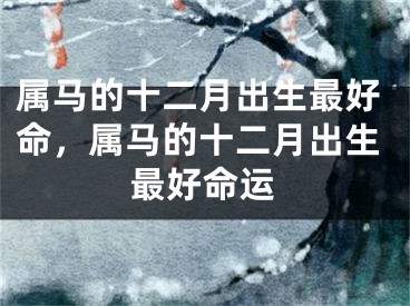 属马的十二月出生最好命，属马的十二月出生最好命运