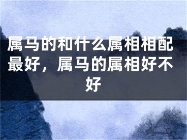 属马的和什么属相相配最好，属马的属相好不好