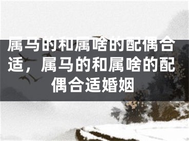 属马的和属啥的配偶合适，属马的和属啥的配偶合适婚姻