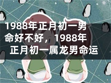 1988年正月初一男命好不好，1988年正月初一属龙男命运