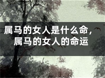 属马的女人是什么命，属马的女人的命运