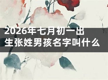 2026年七月初一出生张姓男孩名字叫什么