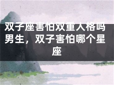 双子座害怕双重人格吗男生，双子害怕哪个星座