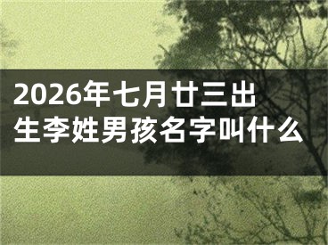 2026年七月廿三出生李姓男孩名字叫什么