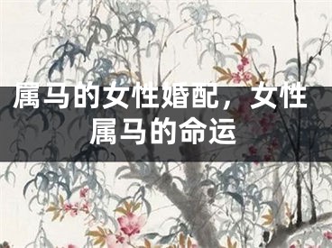 属马的女性婚配，女性属马的命运