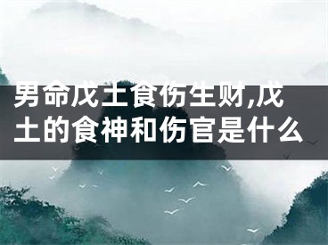 男命戊土食伤生财,戊土的食神和伤官是什么