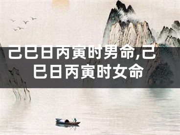 己巳日丙寅时男命,己巳日丙寅时女命
