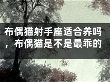 布偶猫射手座适合养吗，布偶猫是不是最乖的