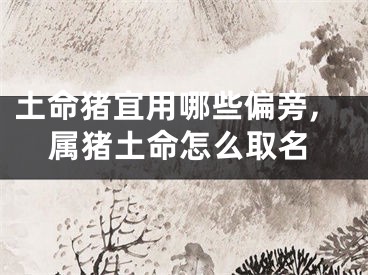 土命猪宜用哪些偏旁,属猪土命怎么取名