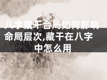 八字藏干合局如何影响命局层次,藏干在八字中怎么用